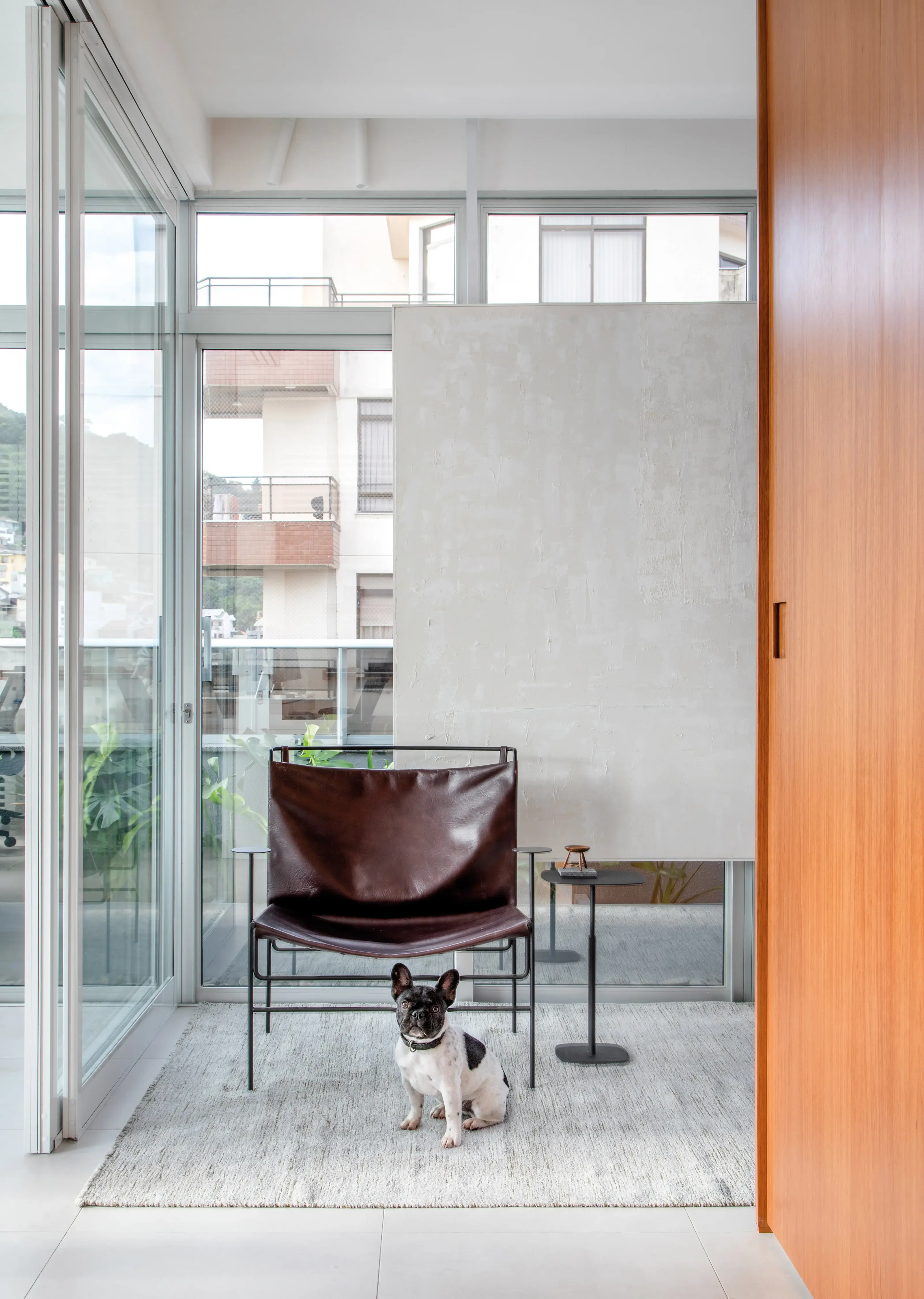 Cadeira em couro marrom com estrutura metálica e cão da raça bulldog francês no Studio Guilherme Garcia, em ambiente com painéis de vidro e luz natural